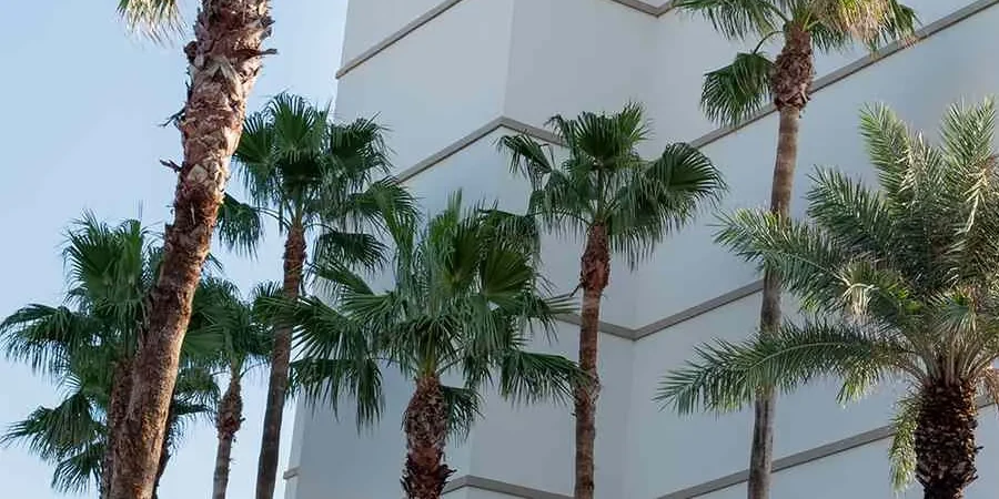 Commercial Roofing for Hospitality Groups in Palmdale, CA